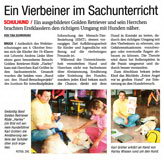 Artikel
